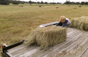 WhirldWorks Loading Hay
