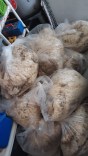 Fresh bags of raw wool